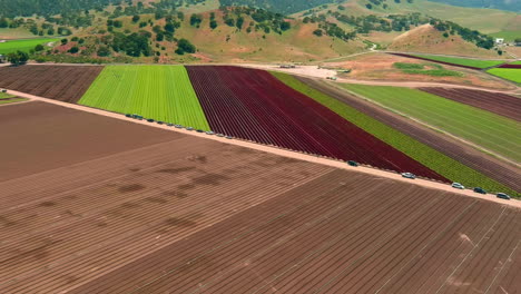 using migrant labor to work farmland fields of crops near salinas, california - aerial flyover