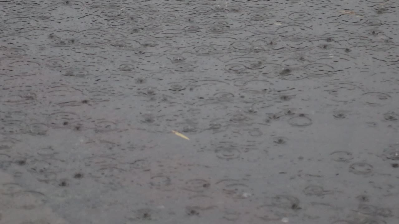 Raindrops on the surface of the river water form irregular patterns and movements