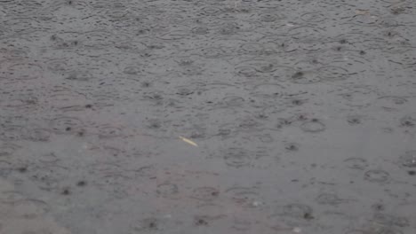 las gotas de lluvia en la superficie del agua del río forman patrones y movimientos irregulares