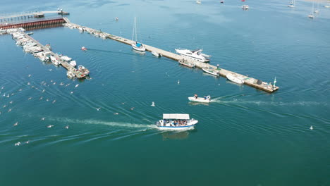 barco de pescadores saliendo del puerto deportivo de olhao durante la mañana soleada para pescar