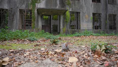 Abandoned-and-Decaying-Ruins-of-Japans-Chemical-Weapons-Island,-Okunoshima