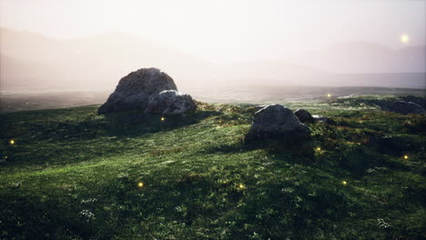 Prado-Alpino-Con-Rocas-Y-Hierba-Verde