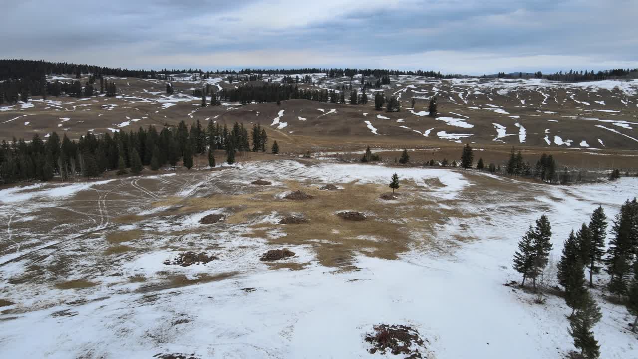 manejo del bosque desde arriba: vista aérea de pilas de quema de residuos de madera en la región de cariboo de columbia británica, canadá