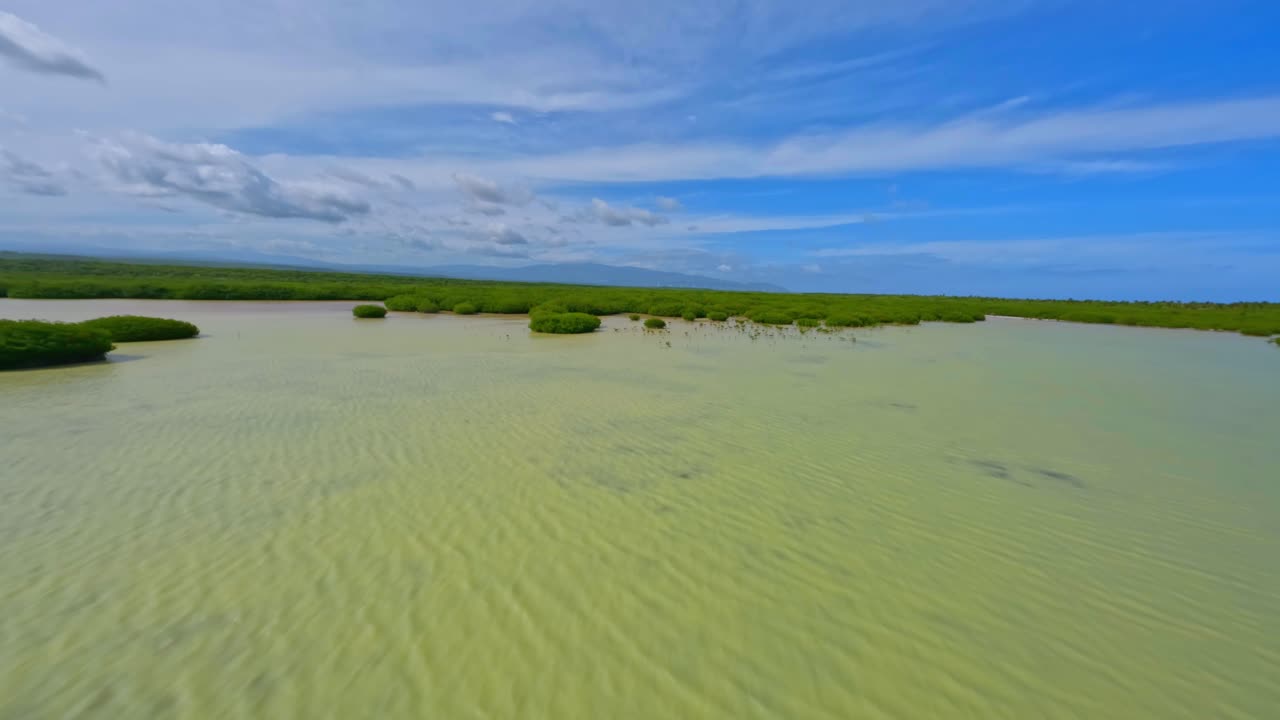bosque de manglares en la laguna de oviedo, lago de agua salada en el parque nacional jaragua, pedernales, república dominicana