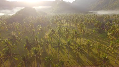 flying over misty valley in indonesia