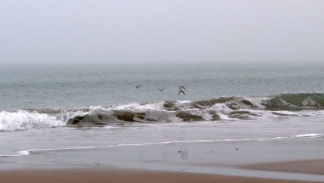 waves crashing on the beach