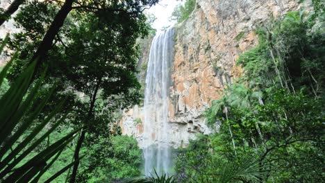 waterfall cascading in a dense, green forest