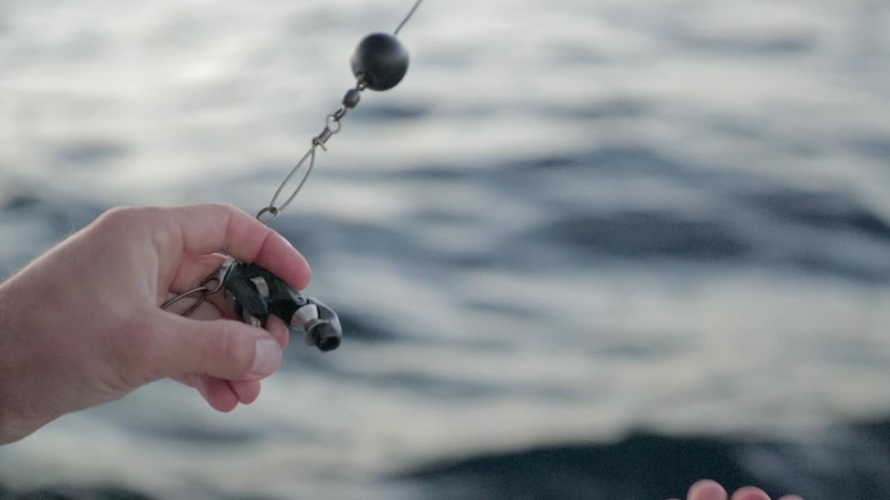 Setting up bait to catch King Fish in New Zealand