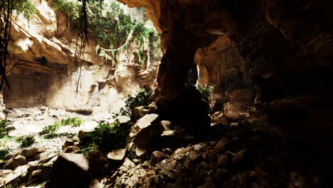 lush cave interior showcasing sunlight filtering through rocky formations