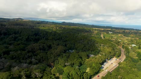 Disparo-De-Drone-Giratorio,-Camino-A-Hana,-Maui,-Hawai,-Copa-De-árbol-Verde