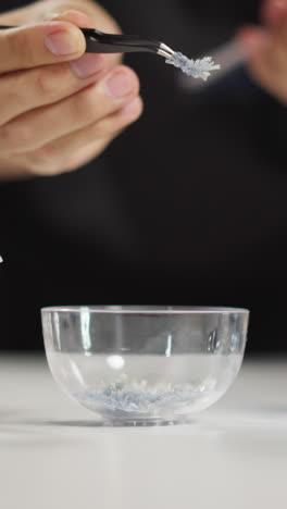 chemist takes material piece covered with white crystals with tongs during researching in laboratory of pharmaceutical plant closeup