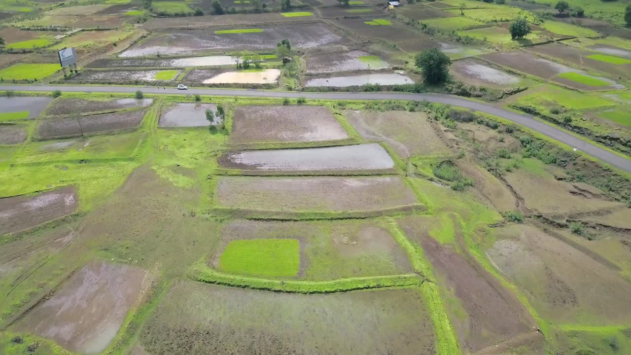 Indian agriculture, rice cultivation during monsoon, Western Ghats, Aerial