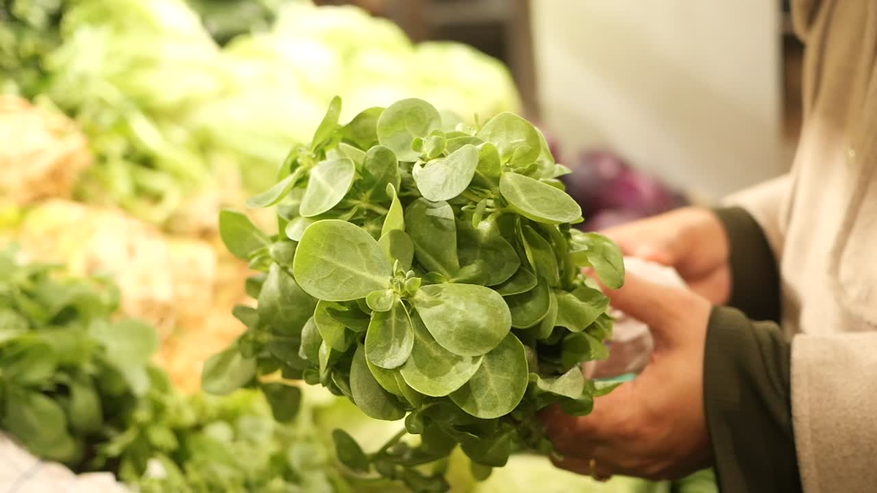 Fresh Greens Held in Hands at a Market