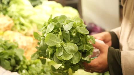 fresh greens held in hands at a market