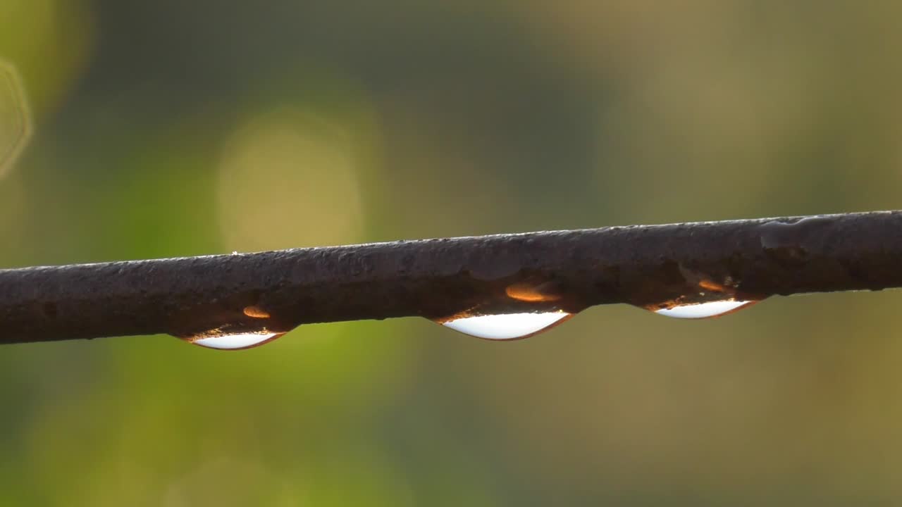 la luz del sol se refleja en las gotas de rocío en el alambre de cerca oxidado