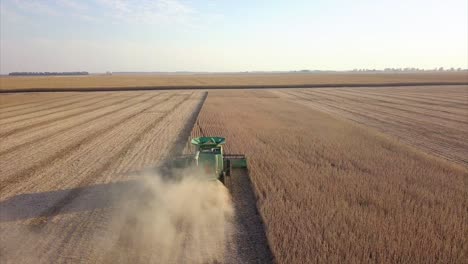 a midwest farmer harvesting a soybean field with a combine, tractor, and auger wagon