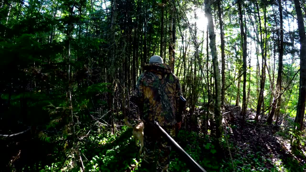 강아지와 함께 숲을 걸어다니는 사냥 4k