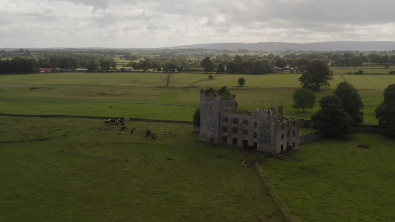 Historic Castle Ruins with Grazing Cows in a Green Rural Landscape