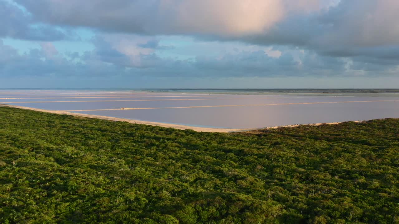 antena aérea de exuberante vegetación que rodea los lagos rosados de las coloradas al atardecer