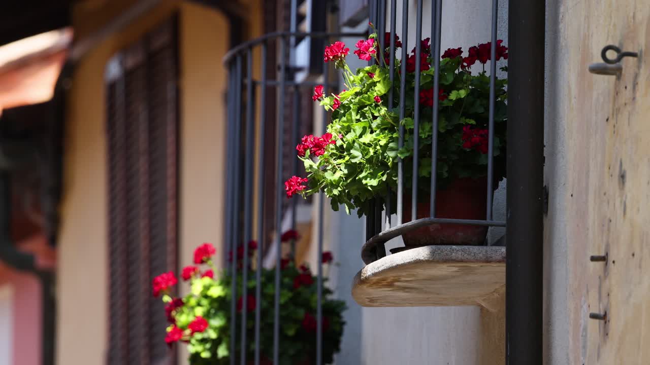 ollas de flores en un balcón soleado en cuneo