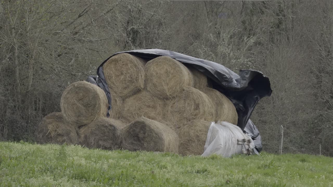 Round Bale Of Hay Piled And Covered With A Black Plastic In A Pasture