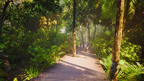 camino de madera que conduce a través de un hermoso bosque de otoño