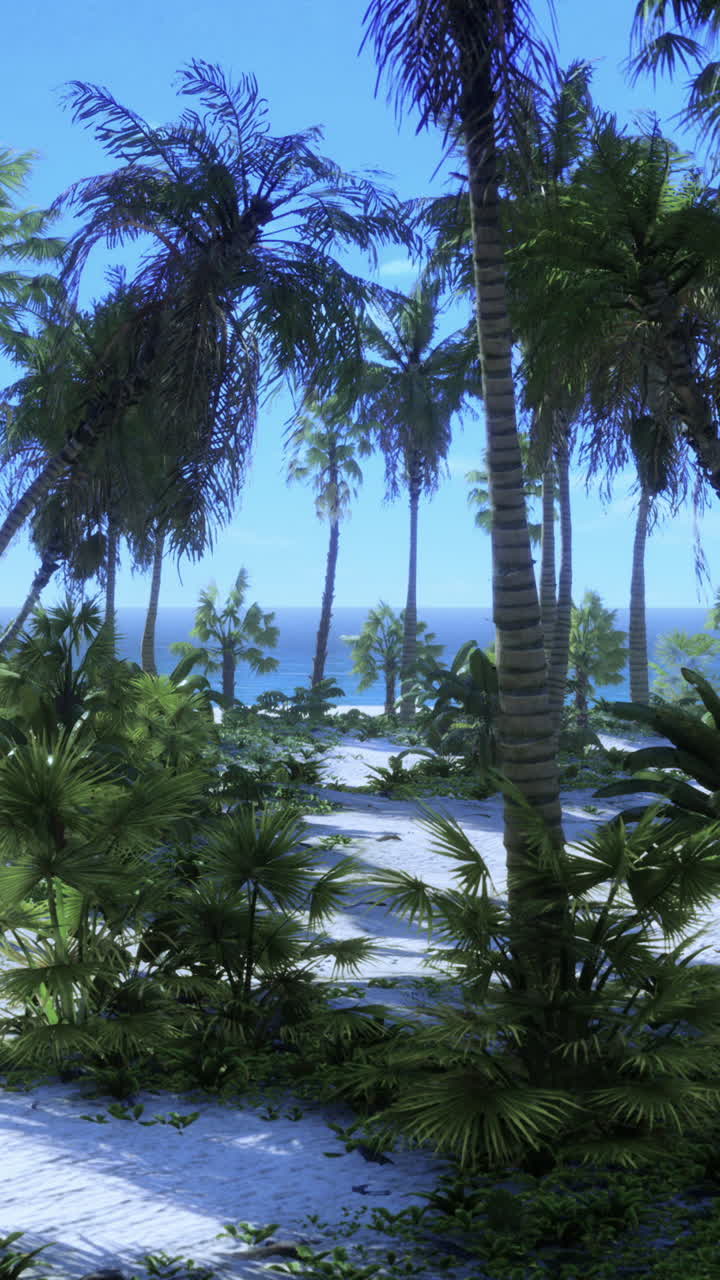 열대 해변 파라다이스