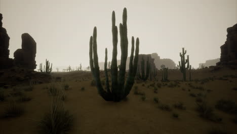 expansive desert landscape featuring tall cacti against a hazy skyline