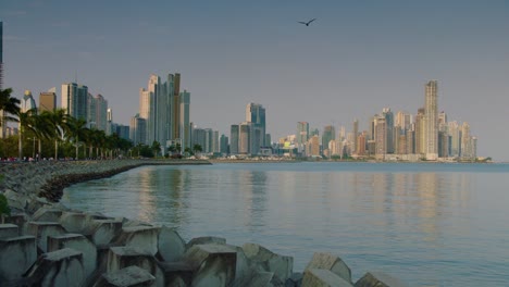 una gaviota vuela más allá de la ciudad de panamá horizonte de panamá