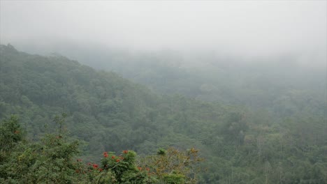 Mystic-time-lapse-showing-flying-clouds-and-fog-over-green-forestry-mountains-on-Bali-Island,Indonesia