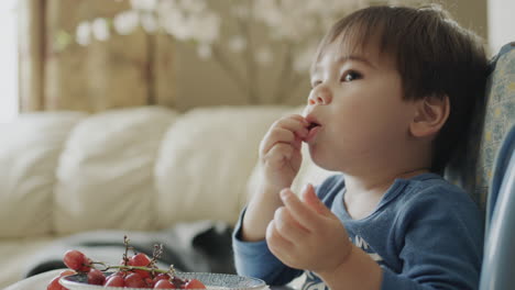 Asian-two-year-old-baby-eats-grapes-and-watches-TV-attentively.