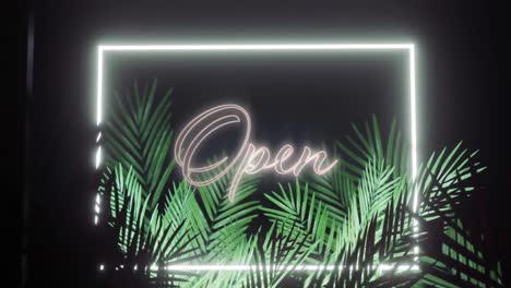 Animation-of-open-text-and-frame-in-white-neon,-with-palm-leaves-on-black-background