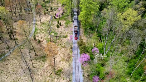 una vista aérea de un tren de pasajeros de vapor de 1860 que viaja a través de una zona boscosa en una sola vía férrea solitaria