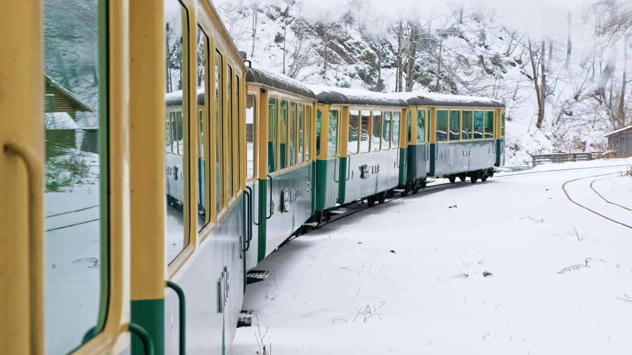 Näkymä liikkuvasta Mocanita-höyryjunasta sen sisältä, talvinen paljas metsä, lunta, Romania