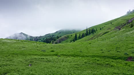 Flying-Over-Mountain-Pass-And-Lake-Among-Green-Hills-On-Moody-Day