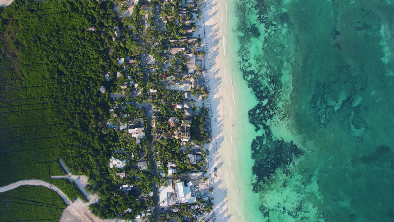 vista aérea de arriba hacia abajo sobre la playa en tulum, méxico