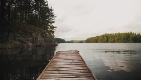 finlandia bosque río naturaleza 4k