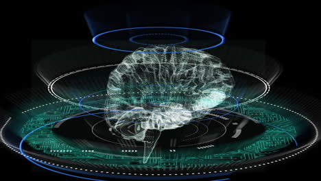 animation of brain rotating, data processing, integrated circuits and circles on black background