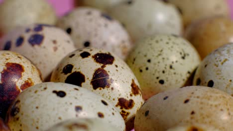 quail eggs rotation background