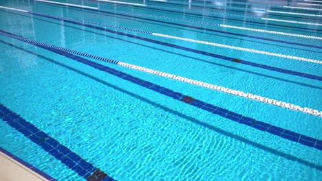 olympic swimming pool background on a bright sunny day