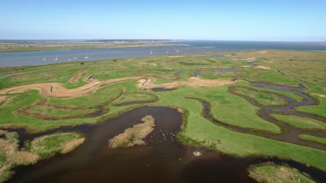 英國埃塞克斯州托爾斯伯里自然保護區的沼澤河流 - 空中