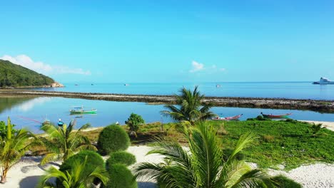 beautiful tropical plants and palms on garden of holiday resort with white sandy beach washed by calm water of sea in thailand