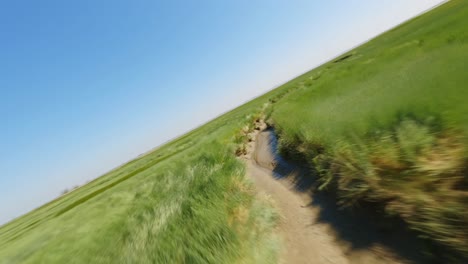 FPV-drone-shot-following-a-muddy-stream-through-green-fields-in-a-natural-park-on-a-sunny-summer-day-in-Zeeland,-the-Netherlands