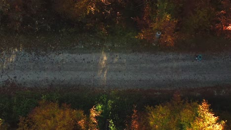 Coming-in-aerial-shot-of-a-man-walking-through-an-idyllic-footpath-in-a-autumnal-forest-with-the-view-top-down-from-the-treetops