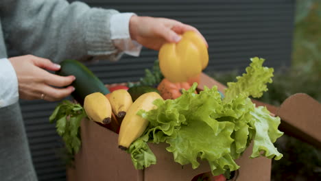 woman checking vegetables in a box