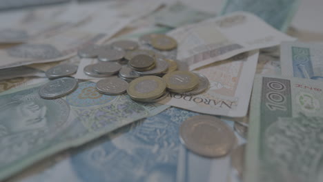 polish paper money and coins in the table