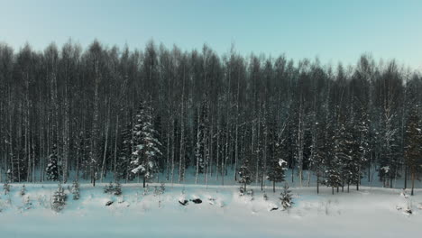 Aerial,-tracking,-drone-shot,-of-a-forest-road,-in-front-of-leafless,-birch-woods-and-behind-a-frozen,-river-shore,-on-a-sunny,-winter-evening,-in-Utra,-Joensuu,-Pohjois-Karjala,-Finland