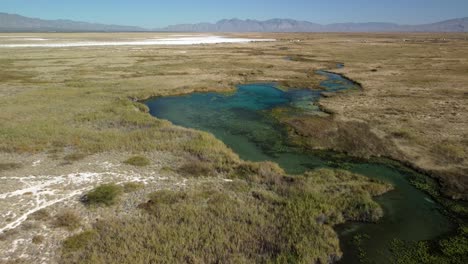 Umgekehrte-Drohnenaufnahme-Des-Blauen-Pools-In-Cuatrocienegas