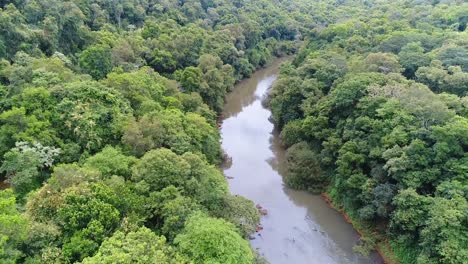 lush forest with river in argentina. aerial forward