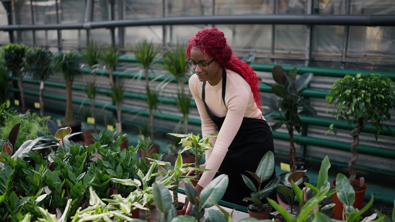 elegante mujer florista multiétnica cuidar de las plantas en la tienda de flores, organizarlos en el estante